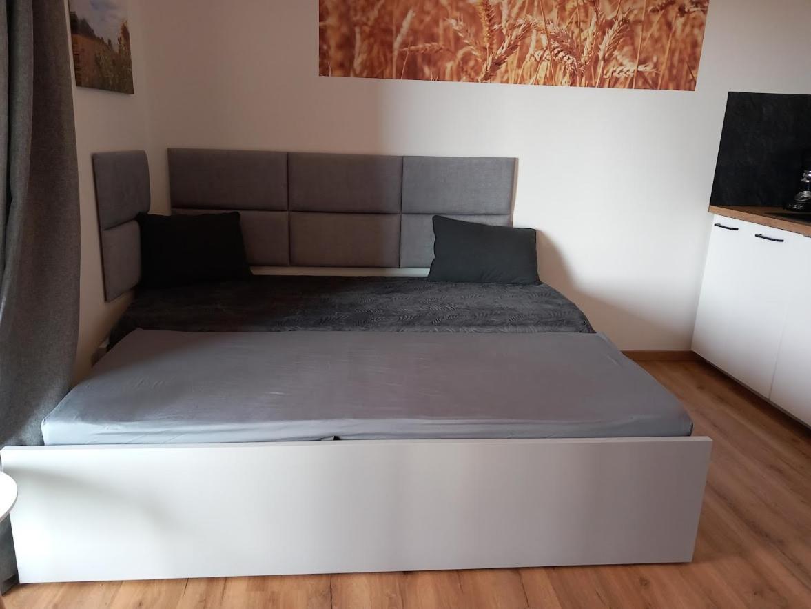 Ferienbauernhof Neumuehle Apartman Gappenach Kültér fotó