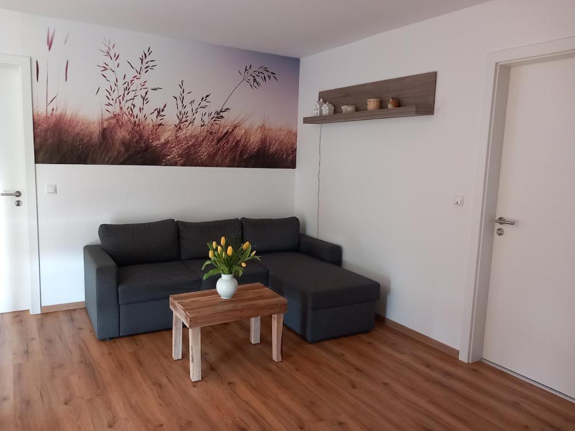 Ferienbauernhof Neumuehle Apartman Gappenach Kültér fotó