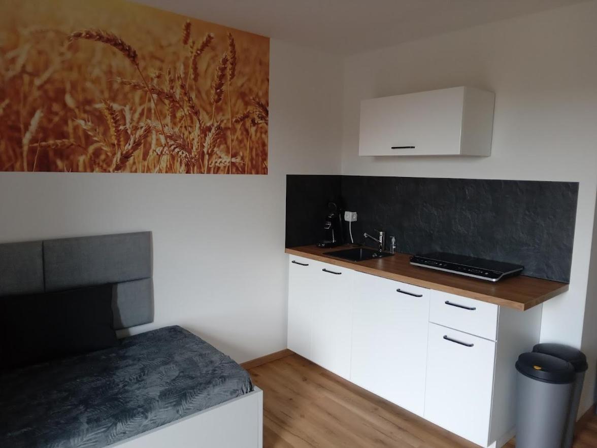Ferienbauernhof Neumuehle Apartman Gappenach Kültér fotó