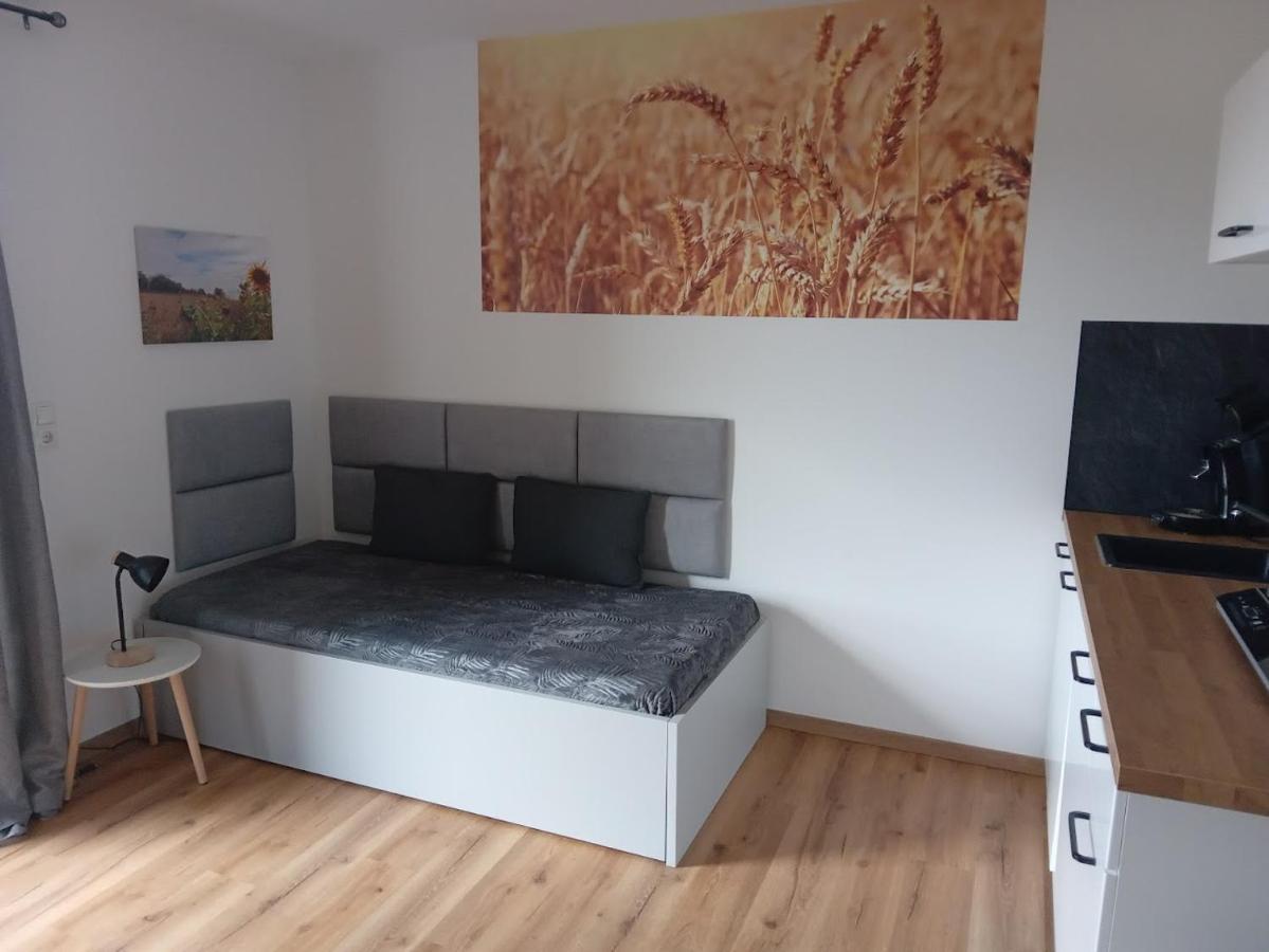 Ferienbauernhof Neumuehle Apartman Gappenach Kültér fotó