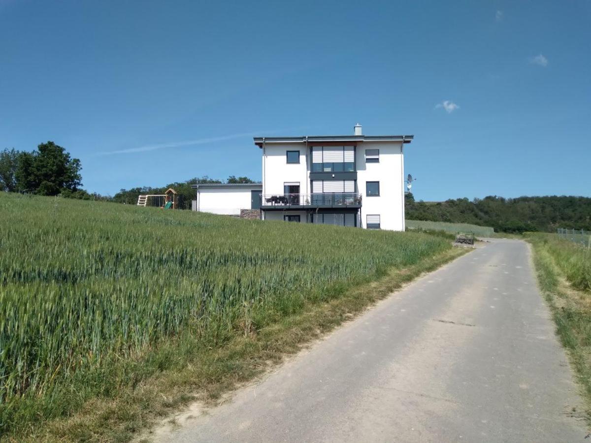 Ferienbauernhof Neumuehle Apartman Gappenach Kültér fotó